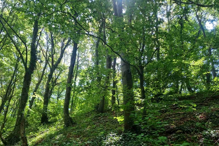 VREMENSKA PRONGOZA Pred nama je sunčana i vrlo topla subota