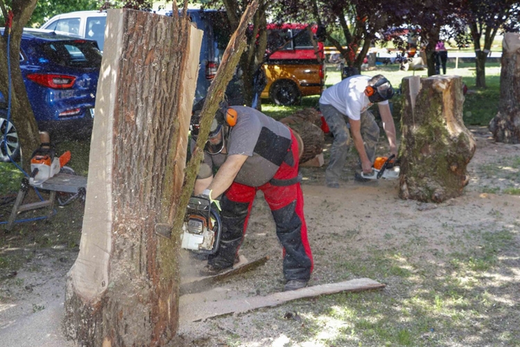 U Salinovcu počeo 9. festival u kiparenju motornom pilom – dođite i uživajte u majstorskim vještinama 17 kipara!