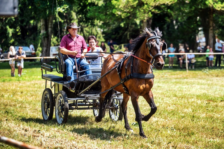 I ove će se godine održati tradicionalne Konjičke igre u Zelendvoru