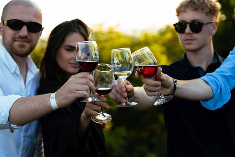 Najveći problem s alkoholom imaju Zagorci, slijede Međimurci pa Varaždinci, a ni Podravci ne zaostaju