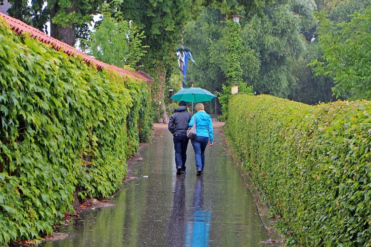 Jutro kišovito, poslijepodne sa više sunčanih razdoblja