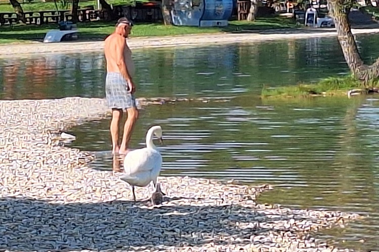 Danas pravi ljetni dan, biti će sunčano i vruće!