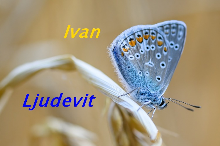 DANAS IM JE IMENDAN Čestitamo godovnjacima, a vi nam se možete pridružiti!