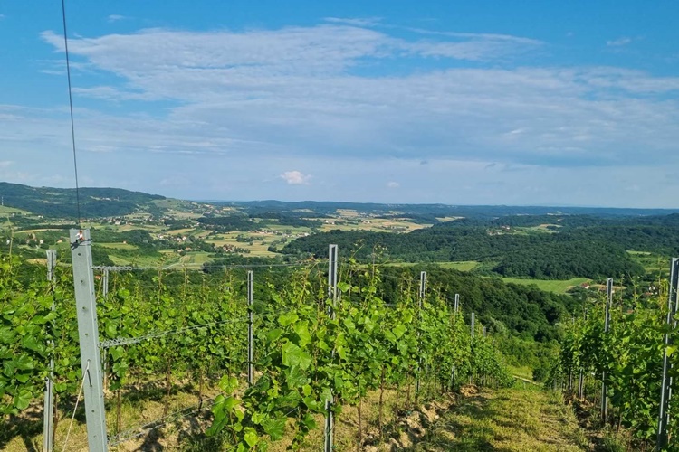 Zagorske općine među vodećima u Hrvatskoj po povlačenju sredstava iz EU fondova