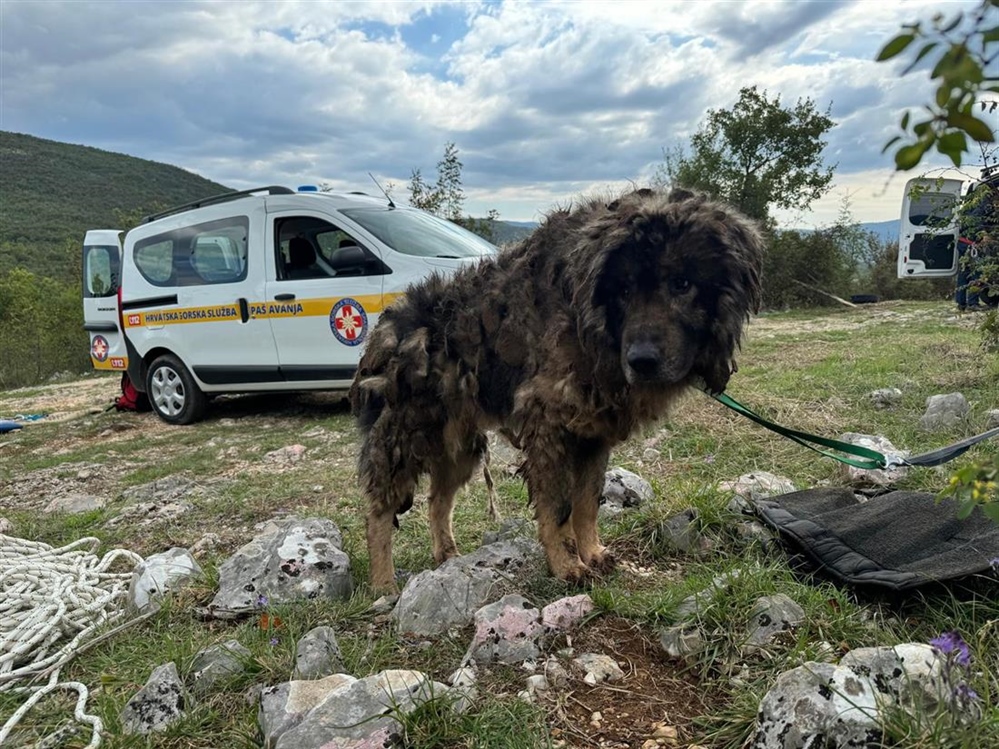 HGSS-ovci opet spašavaju! Spasili su šarplaninca Jakova!