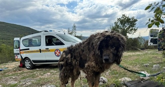 HGSS-ovci opet spašavaju! Spasili su šarplaninca Jakova!