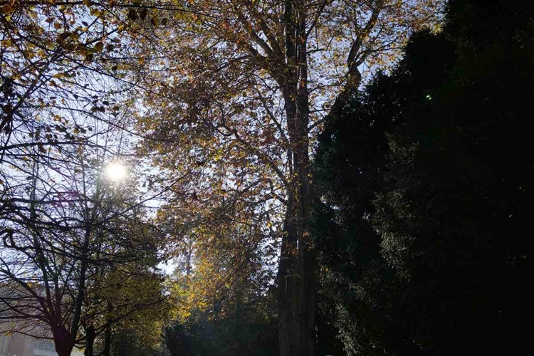 UTORAK Sunčana razdoblja i ugodne dnevne temperature poticat će na boravak na otvorenom