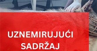 Kujicu skoro prepolovio kombajnom, psi prepušteni sami sebi, sklonište zahtijeva hitan sastanak i stroge sankcije!