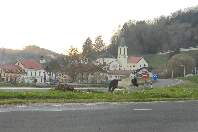 U Đurmancu izgubljen konj, kreće se uz magistralu prema Maclju