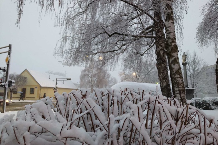 Danas hladno, uz vjetar, kišu, ponegdje i snijeg. Meteoropati, ovo nije vaš dan!