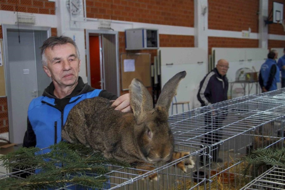 Ovog vikenda u Ivancu ne propustite izložbu malih životinja