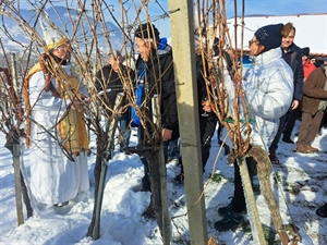 Ove subote Vincekovo će se slaviti i u Klanjcu: Dobro vino i gastronomske delicije, uz obilje zabave i dobrog raspoloženja!