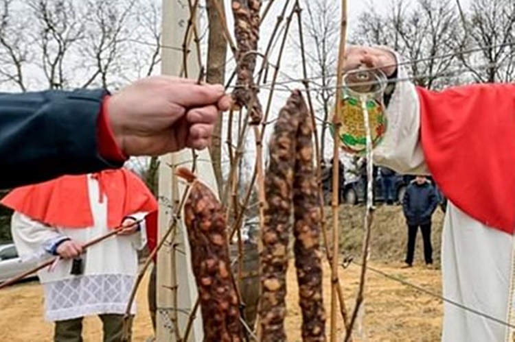 U subotu u Kumrovcu tradicionalna proslava Vincekova i druženje