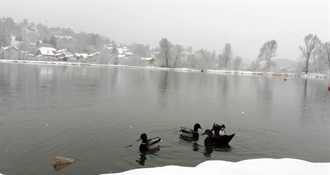 Nedjelja će nam biti pretežno oblačna, dnevna temperatura u porastu