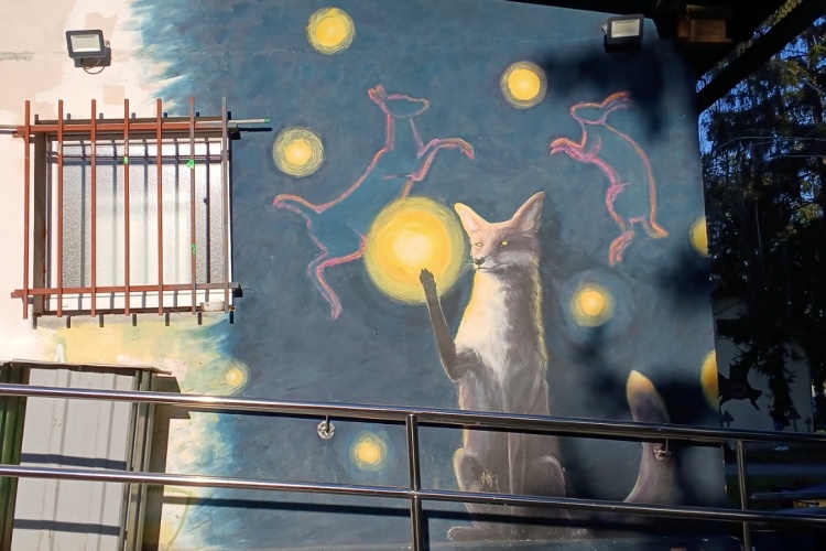 Grafiti: Umjetnost na ulici ili vandalizam bez granica?