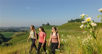 Camino Međimurje: otvorenje nove pješačke rute