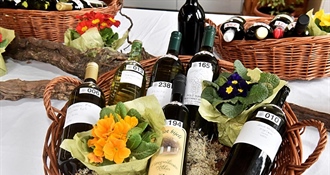 U Vinici otvorena jubilarna 25. izložba vina 'Vinea' u obnovljenom dvorcu Opeka