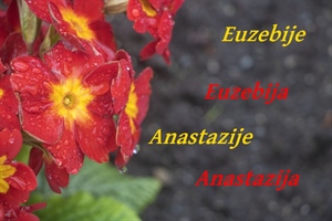 Današnji slavljenici su Euzebije, Euzebija, Anastazija i Anastazije – sretan im njihov dan!