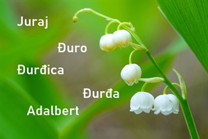 Današnji godovnjaci su Juraj, Đuro, Đurđa, Đurđica i Adalbet – želimo im sve najbolje!