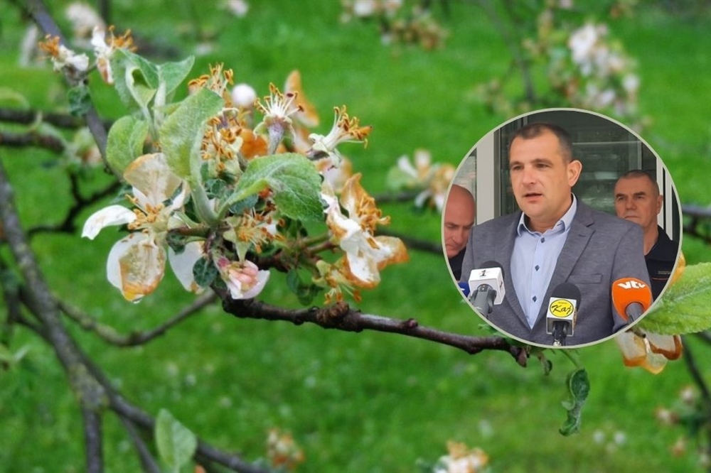 Zbog štete u međimurskim voćnjacima, župan Posavec proglasio prirodnu nepogodu od mraza