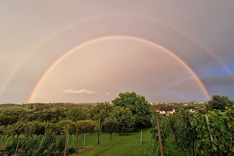 Po jutru se dan (ne)poznaje: Ujutro ponesite kišobrane, poslijepodne sunčane naočale