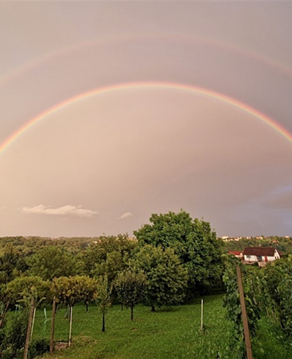 Po jutru se dan (ne)poznaje: Ujutro ponesite kišobrane, poslijepodne sunčane naočale