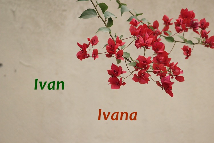 Danas imendan slave ove osobe – čestitajte im!