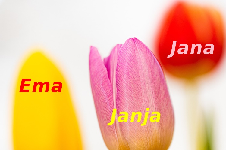 Danas im je imendan, uljepšajte čestitkom njihov dan!