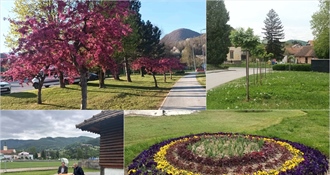Tisuće sadnica, prekrasni drvoredi, nove klupe – Lepoglava zasjala u novom ruhu, a bit će još i ljepša!