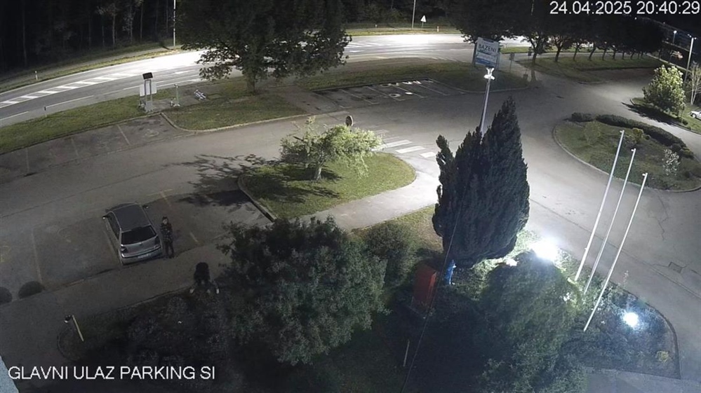 Netko je na čakovečkim gradskim bazenima ukrao ukrasne biljke
