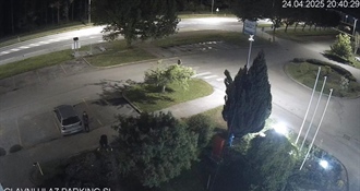 Netko je na čakovečkim gradskim bazenima ukrao ukrasne biljke