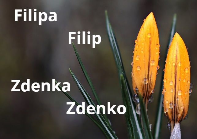 Filip, Filip, Zdenko i Zdenka - sretan imendan