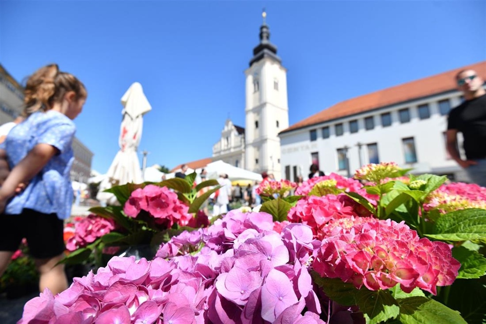 U Čakovcu svečano obilježen Dan grada uz bogat kulturno-zabavni i sportski program