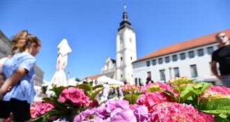 U Čakovcu svečano obilježen Dan grada uz bogat kulturno-zabavni i sportski program