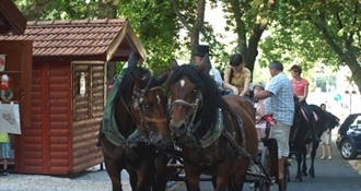 Krapina se vraća u prošlo stoljeće i oživljava svoju bogatu povijest grada – zanimljiva događanja u sklopu programa Oživljena povijest Krapine