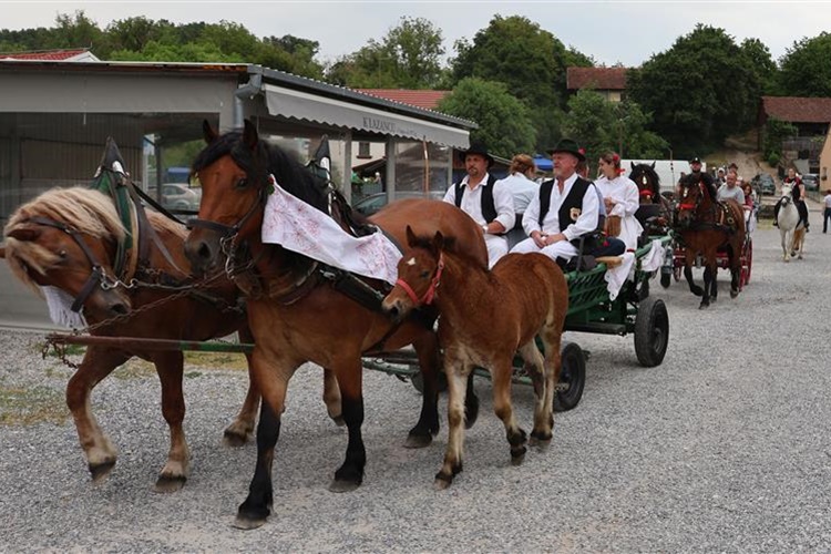 Ne propustite! Sveti Križ Začretje domaćin je tradicijske izložbe stoke i konja KZŽ