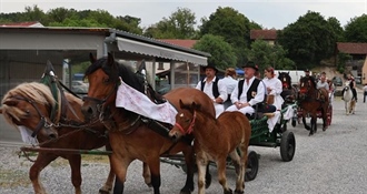 Ne propustite! Sveti Križ Začretje domaćin je tradicijske izložbe stoke i konja KZŽ