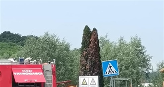 Vježba u Svetom Križu Začretju: Vatrogasci pokazali spremnost u gašenju požara tvrtke i spašavanju ozlijeđene osobe
