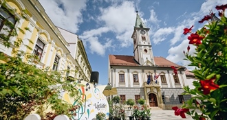 Festival varaždinskih dvorišta: Doznajte što se sve krije u atriju i podrumu Gradske vijećnice