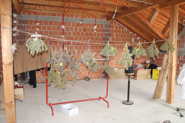 Policija razotkrila plantažu droge u kući 37-godišnjaka – pronađeno pet laboratorija