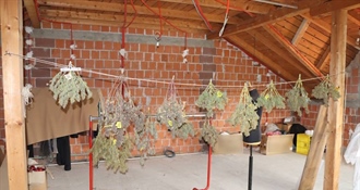 Policija razotkrila plantažu droge u kući 37-godišnjaka – pronađeno pet laboratorija