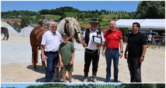 Krava „Suza“ i konj „Sandro“ šampioni županijske Izložbe stoke i konja u Svetom Križu Začretju