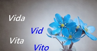 Današnji slavljenici su Vid, Vida, Vito i Vita