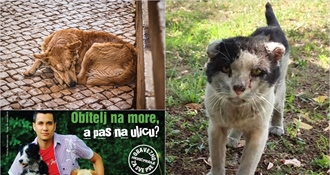 Obitelj na more, a pas na ulicu?! Ako ste ih voljeli zimi, nemojte ih izdati ljeti!