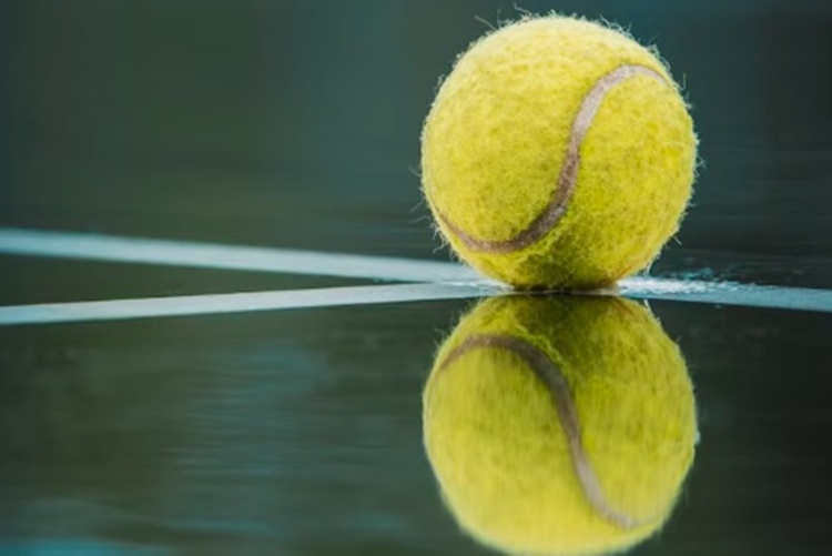 U Varaždinu će se opet igrati sjajan tenis: HTS je domaćin jednog od sedam turnira Play-Off faze Billie Jean King Cupa