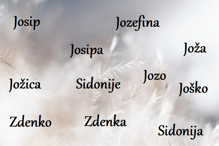 Današnji slavljenici su Sidonija, Zdenka, Zdenko....