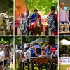 Konjičke igre u Petrijancu obilježile jubilarno izdanje – Zelendvor kao središte tradicije!