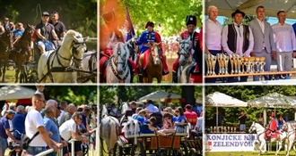 Konjičke igre u Petrijancu obilježile jubilarno izdanje – Zelendvor kao središte tradicije!