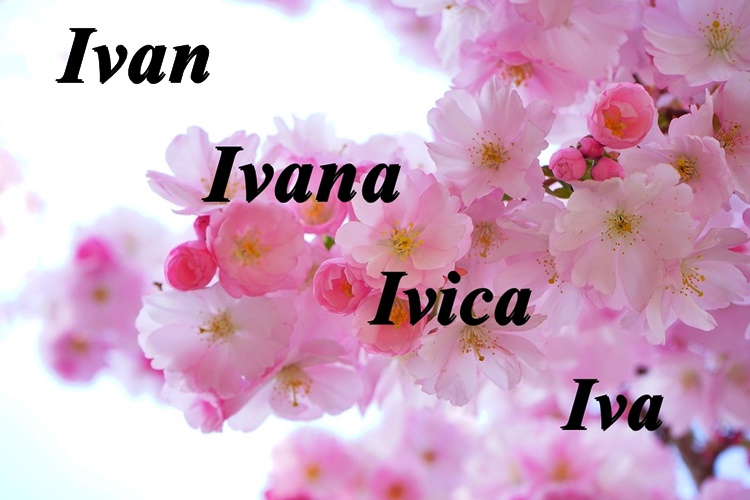 Ivan, Ivana, Ivanka, Iva, Ivica, Ivka.... sretan vam imendan