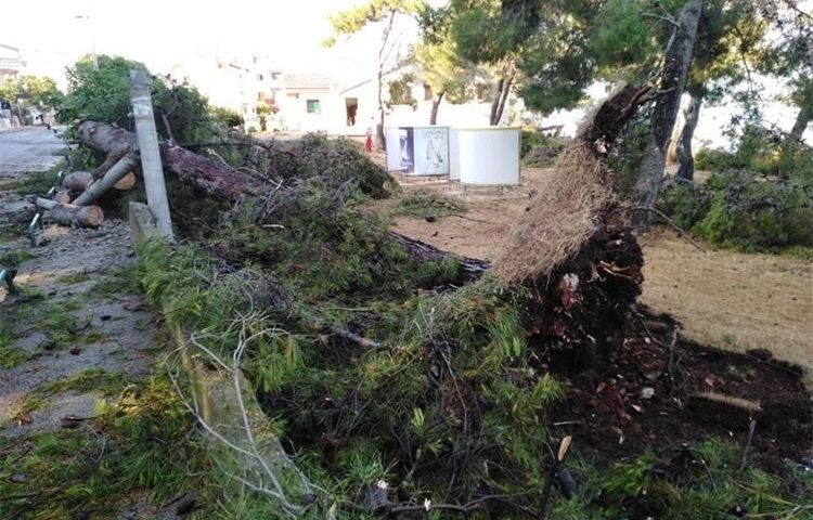 Jako nevrijeme sinoć pogodilo Karlovačku županiju – vjetar rušio drveće i stupove